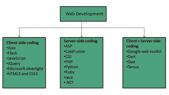 توسعه وب سایت چیست؟