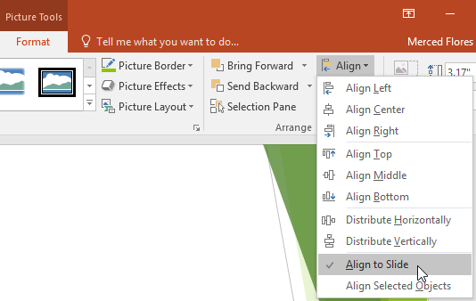 انتخاب Align to Slide