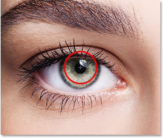 روش رنگی کردن چشم مانند رنگین کمان در فتوشاپ - قرار دادن مکان نما در مرکز چشم