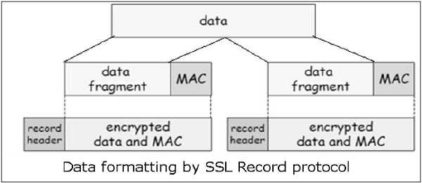 عملکرد اجزای پروتکل SSL