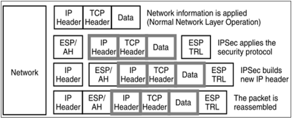 حالت های ارتباطی IPsec - بررسی اجمالی IPsec