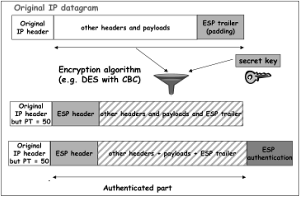 (Encapsulation Security Protocol (ESP