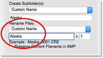 انتخاب یک نام جدید فایل - محل ذخیره سازی و کار با Adobe Bridge