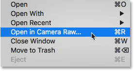 نحوه باز کردن فایل های JPEG در Camera Raw