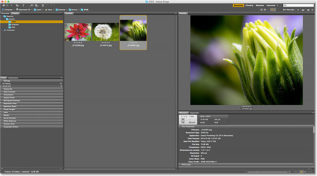 فیلتر کردن تصاویر بر اساس رتبه بندی ستاره - فیلتر کردن تصاویر در Adobe Bridge