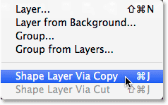 share layer via copy