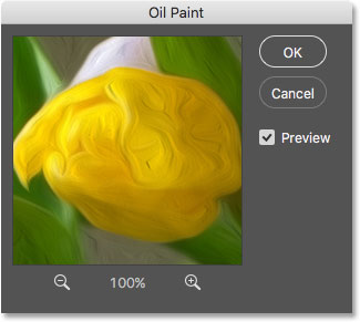 پیش نمایش oil paint ( انتخاب فیلتر Oil Paint در فتوشاپ )