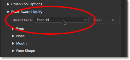 منو Select Face ( ثبت تغییرات و تغییر چهره افراد به صورت گروهی )