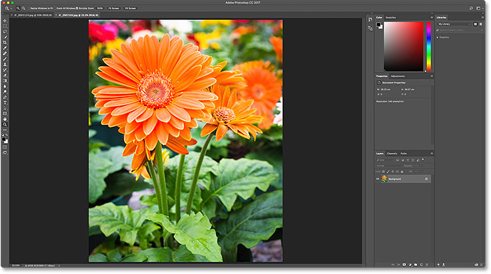 پنل Recent Files در Photoshop CC - تصویر دوم باز می شود.