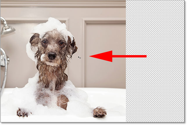 مبانی ماسک لایه فتوشاپ برای مبتدیان - نگه داشتن Shift هنگام کشیدن لایه "Dog" به سمت چپ