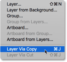  Layer > New > Layer via Copy