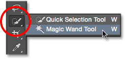 انتخاب Magic Wand Tool ( انتخاب لایه Grid در فتوشاپ )