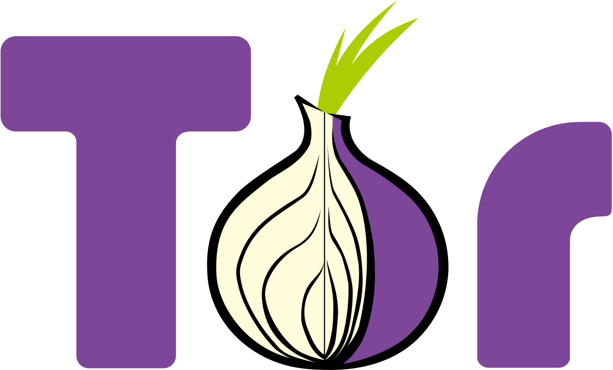 مرورگر تور Tor ( مرورگر تور چیست )