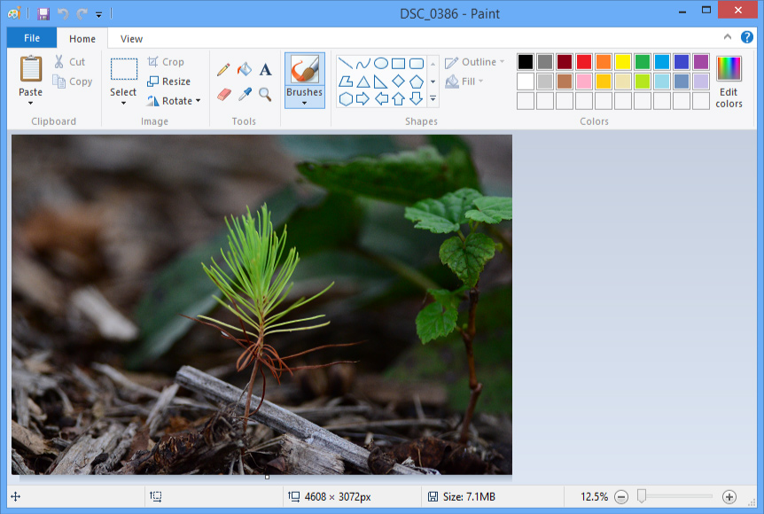 استفاده از برنامه paint برای ویرایش تصویر در ویندوز ( آشنایی با نرم افزارهای ساده ویرایش تصاویر )