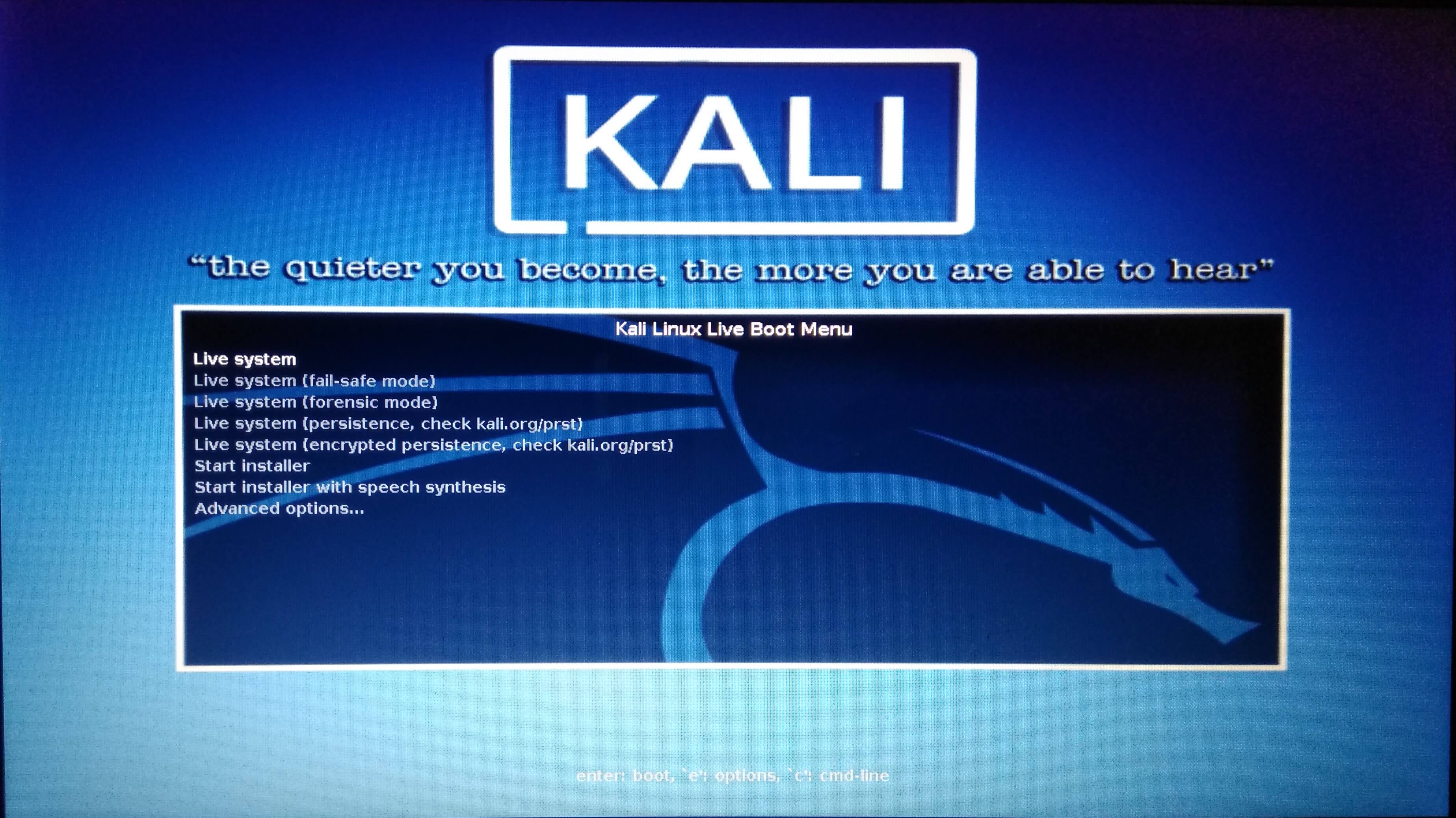 installing kali linux on usb