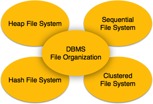آشنایی با ساختار فایل در سیستم مدیریت پایگاه داده ( DBMS )