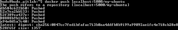 Push کردن تصویر روی رجیستری محلی که در localhost:5000 اجرا شده است - آشنایی با Container Registry در گیت لب GitLab